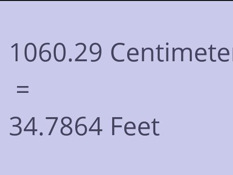 1060.29 CM TO FEET