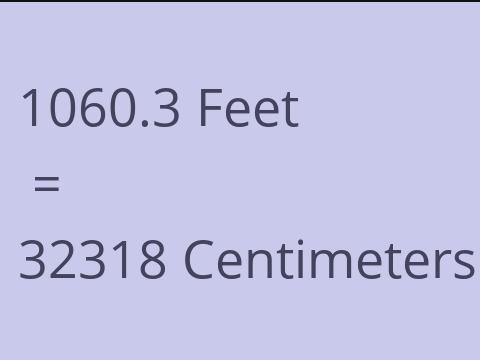 1060.3 FEET TO CM