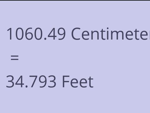 1060.49 CM TO FEET