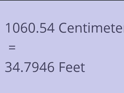 1060.54 CM TO FEET