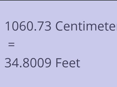 1060.73 CM TO FEET