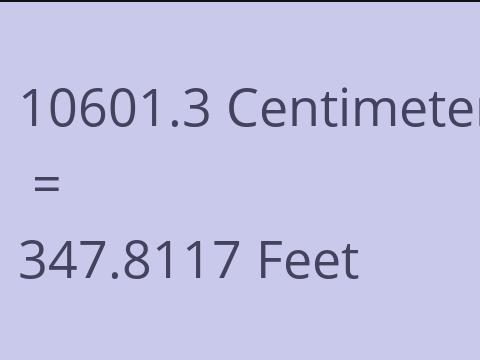 10601.3 CM TO FEET