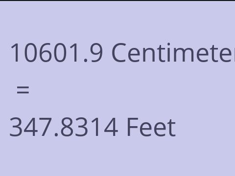 10601.9 CM TO FEET