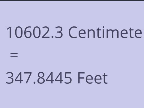 10602.3 CM TO FEET