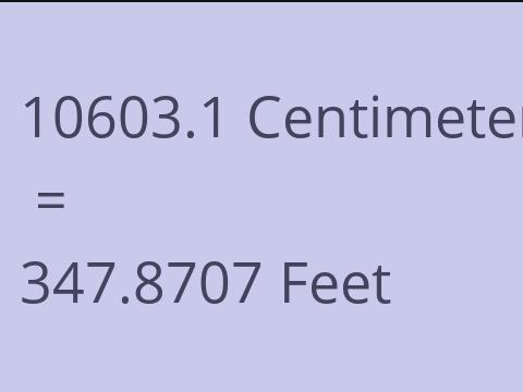 10603.1 CM TO FEET