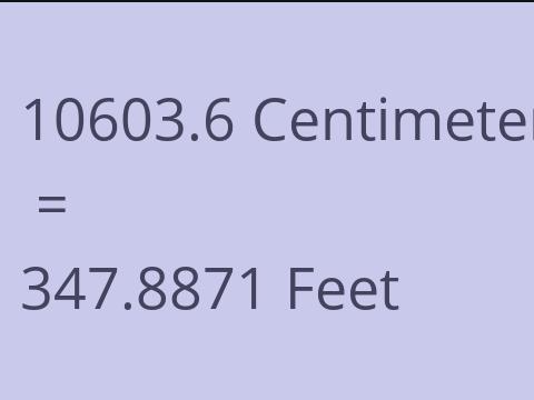 10603.6 CM TO FEET