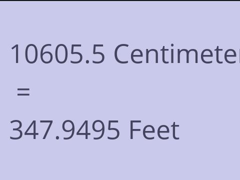 10605.5 CM TO FEET