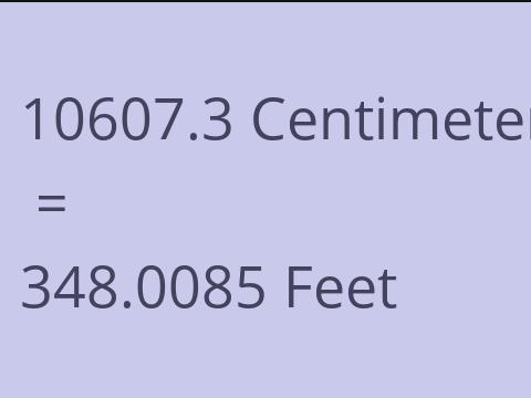 10607.3 CM TO FEET