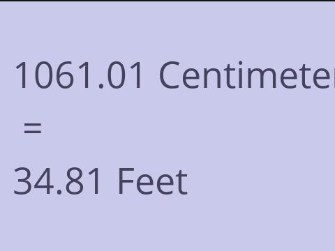 1061.01 CM TO FEET