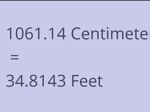 1061.14 CM TO FEET