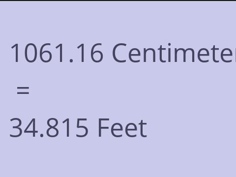 1061.16 CM TO FEET