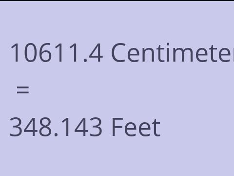 10611.4 CM TO FEET