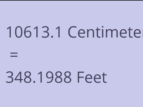 10613.1 CM TO FEET