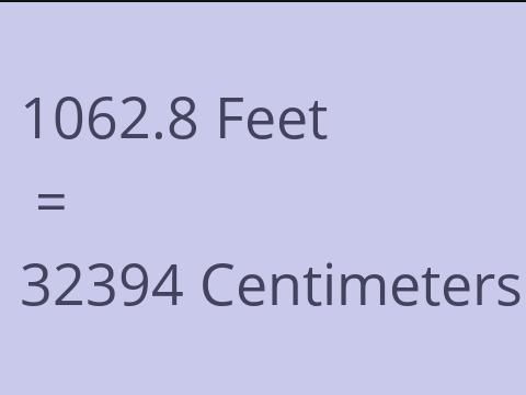 1062.8 FEET TO CM