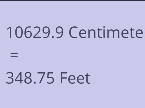 10629.9 CM TO FEET