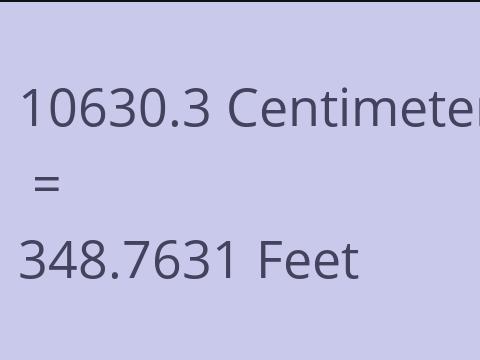 10630.3 CM TO FEET