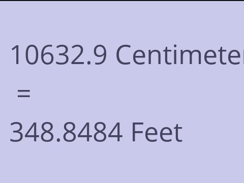 10632.9 CM TO FEET