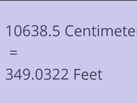 10638.5 CM TO FEET