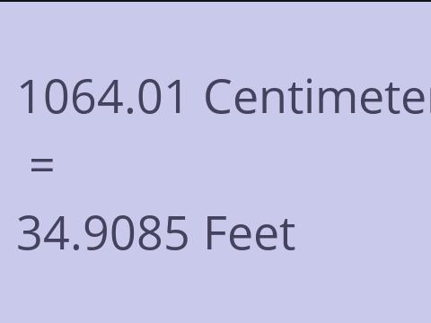 1064.01 CM TO FEET