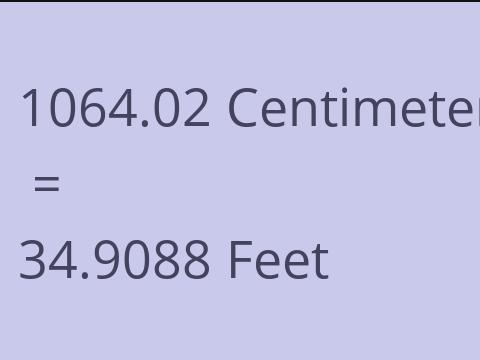 1064.02 CM TO FEET