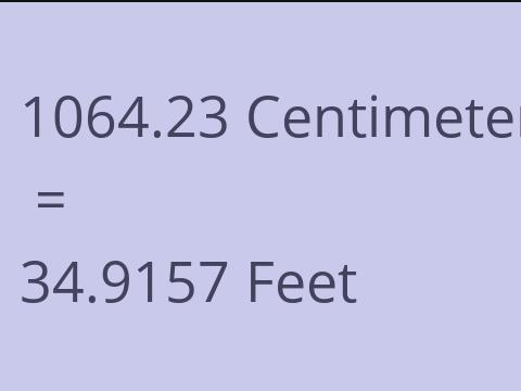 1064.23 CM TO FEET