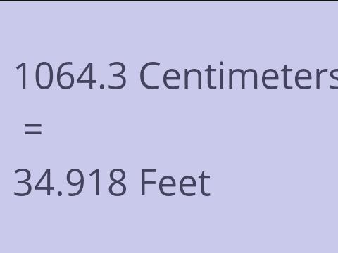 1064.3 CM TO FEET