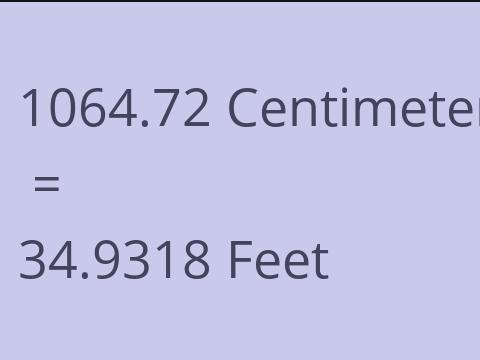 1064.72 CM TO FEET