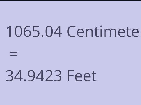 1065.04 CM TO FEET