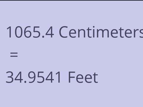 1065.4 CM TO FEET