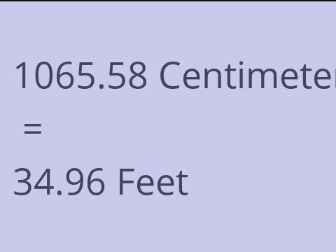 1065.58 CM TO FEET