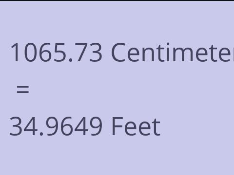 1065.73 CM TO FEET