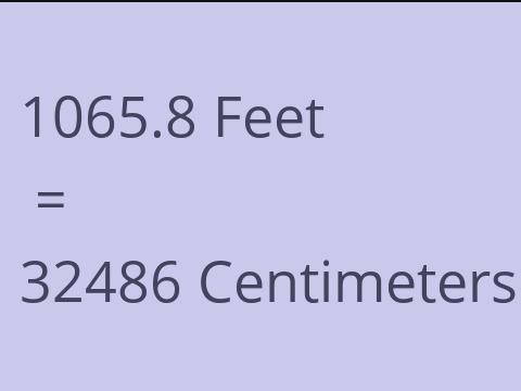 1065.8 FEET TO CM