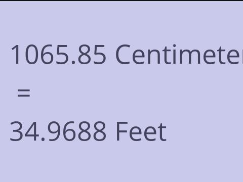 1065.85 CM TO FEET