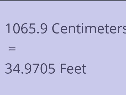 1065.9 CM TO FEET