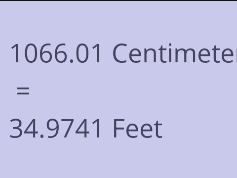 1066.01 CM TO FEET