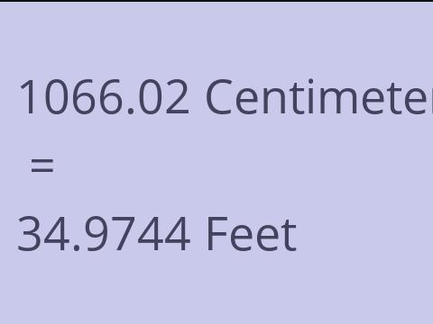 1066.02 CM TO FEET