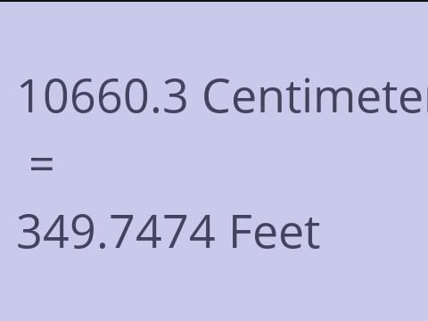 10660.3 CM TO FEET