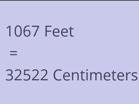 1067 FEET TO CM