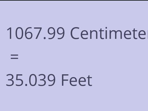 1067.99 CM TO FEET