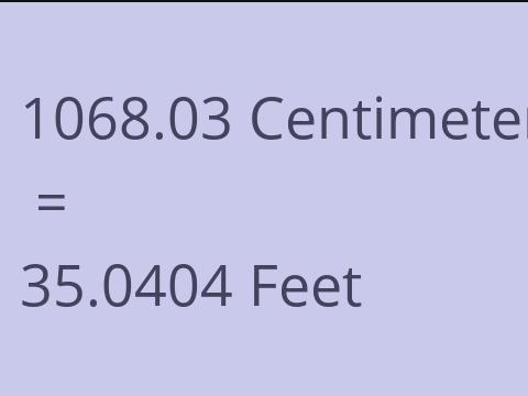 1068.03 CM TO FEET