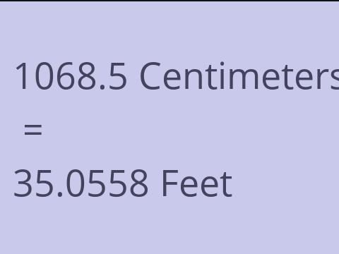 1068.5 CM TO FEET