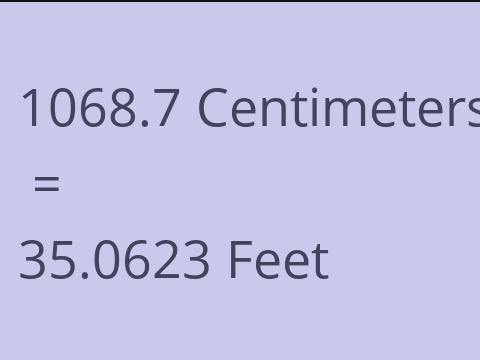 1068.7 CM TO FEET