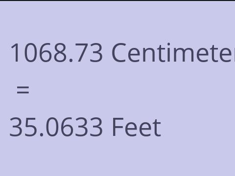 1068.73 CM TO FEET