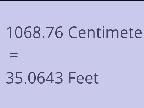 1068.76 CM TO FEET