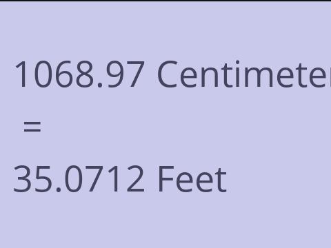 1068.97 CM TO FEET