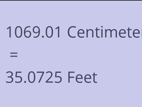 1069.01 CM TO FEET