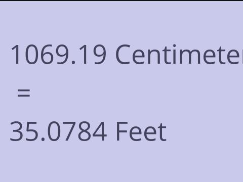 1069.19 CM TO FEET