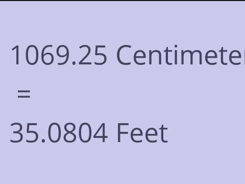 1069.25 CM TO FEET