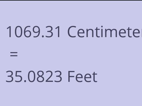 1069.31 CM TO FEET