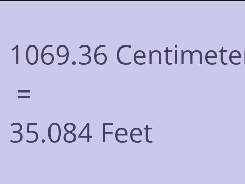 1069.36 CM TO FEET